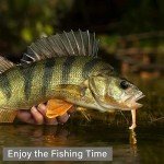 KJEIM 50 PCS Paddle Tail Swimbaits - 3 Inch Lures