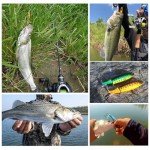 10-Pack Whopper Bass Popper Fishing Lures
