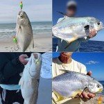Pompano Surf Fishing Rigs with Double Hooks - 6 Pack