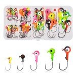 60pc Assorted Fishing Jig Heads with 3D Eyes