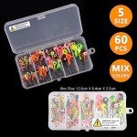 60pc Assorted Fishing Jig Heads with 3D Eyes