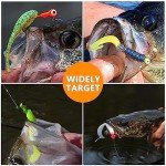 60pc Assorted Fishing Jig Heads with 3D Eyes