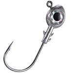 Dr.Fish 10 Pack 3D Eyes Fishing Jigs