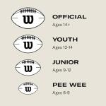 WILSON GST SpeedSkin Football - Brown, Official Size