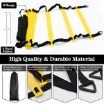 FGBNM Agility Ladder Speed Training Set, 13ft 8 Rungs Agility Ladder with 50 Disc Cones, 4 Steel Stakes, 2 Carry Bags and 1 Holder, Exercise Ladder Equipment for Football Basketball Exercise Sports