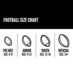 WILSON NFL All Pro Composite Football - Pee Wee