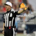 VKT 3-Piece Referee Flag and Whistle Set