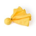 Referee Accessory Kit for Flag Football Fun