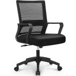 Adjustable Ergonomic Mesh Desk Chair - Black