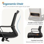 Adjustable Ergonomic Mesh Desk Chair - Black