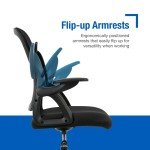 Ergonomic Mesh Back Office Chair, Black