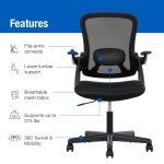 Ergonomic Mesh Back Office Chair, Black