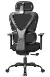 High Back Ergonomic Office Chair with Lumbar Support