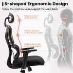 High Back Ergonomic Office Chair with Lumbar Support