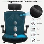 Ergonomic Mesh Office Chair with Lumbar Support