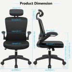 Ergonomic Mesh Office Chair with Lumbar Support