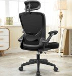 Ergonomic Mesh Office Chair with Lumbar Support