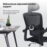 Ergonomic High Back Mesh Office Chair - Black