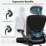 Ergonomic Mesh Office Chair with Lumbar Support