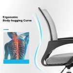 Ergonomic Adjustable Office Chair with Lumbar Support