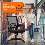 Ergonomic Adjustable Office Chair with Lumbar Support