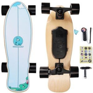 Beginner Electric Skateboard with Remote Control 350W