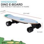 Beginner Electric Skateboard with Remote Control 350W