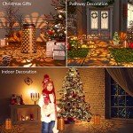 2 Pack Waterproof Solar Lanterns for Outdoors