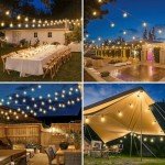 Dimmable Outdoor String Lights with Remote - 70FT