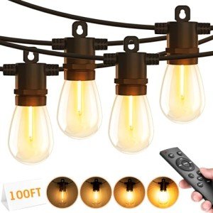 Dimmable 100FT Outdoor String Lights with Remote