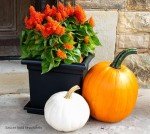 15.5-Inch Lightweight Square Outdoor Planter in Black