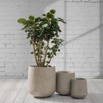 Round Concrete Planters for Home and Garden