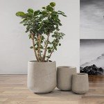 Round Concrete Planters for Home and Garden