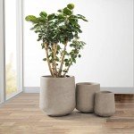 Round Concrete Planters for Home and Garden