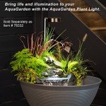 AquaGarden Pond and Waterfall Container Kit