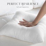 Waterproof Outdoor Pillow Inserts – Set of 4
