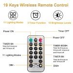 600 LED Dual Color Curtain Fairy Lights