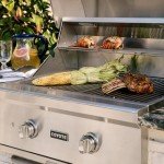 Coyote 28-Inch Built-In Propane Grill