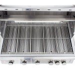 40-Inch Blaze LTE 5-Burner Propane Grill