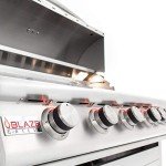 40-Inch Blaze LTE 5-Burner Propane Grill