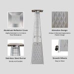 East Oak 48,000 BTU Stainless Steel Patio Heater