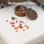 5-Piece Beige Patio Conversation Set by PHI VILLA