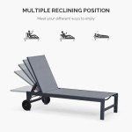 Purple Leaf Outdoor Chaise Lounge Chairs with Wheels