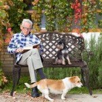 VINGLI 42.5" Outdoor Rose Loveseat Bench