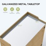 Gizoon Outdoor Potting Bench with Metal Top