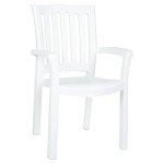 Sunshine White Resin Patio Dining Arm Chairs - 2 Pack