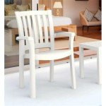 Sunshine White Resin Patio Dining Arm Chairs - 2 Pack