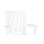Sunshine White Resin Patio Dining Arm Chairs - 2 Pack