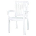 Sunshine White Resin Patio Dining Arm Chairs - 2 Pack