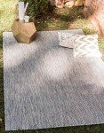 Light Gray/Ivory Flatweave Indoor/Outdoor Area Rug